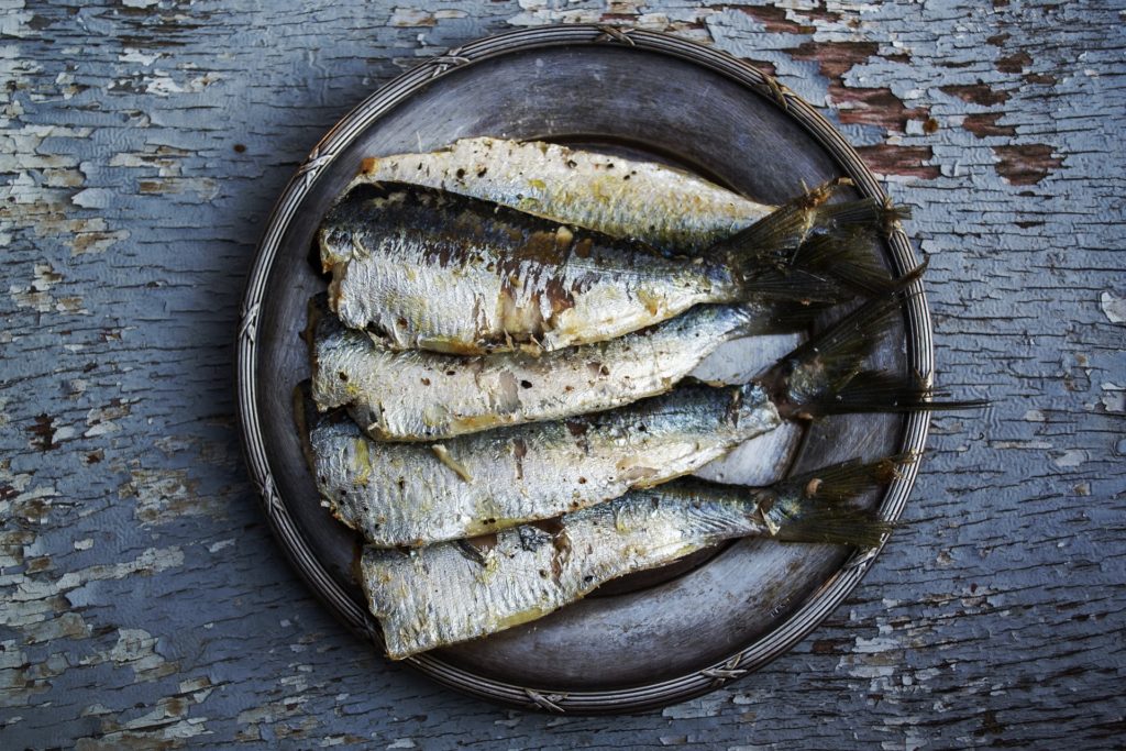 sardines-gcd17f6b3b_1920